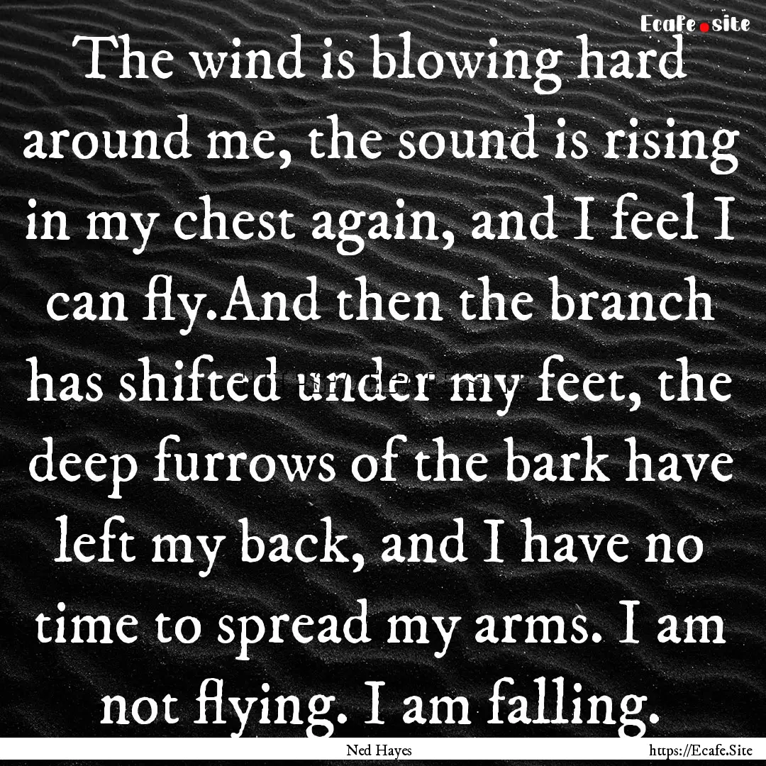 The wind is blowing hard around me, the sound.... : Quote by Ned Hayes