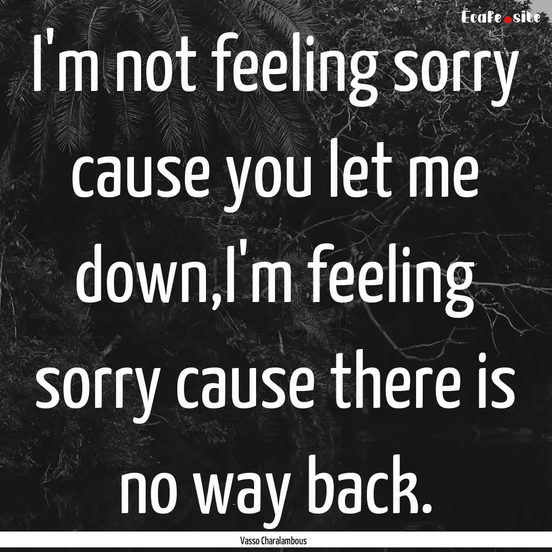 I'm not feeling sorry cause you let me down,I'm.... : Quote by Vasso Charalambous