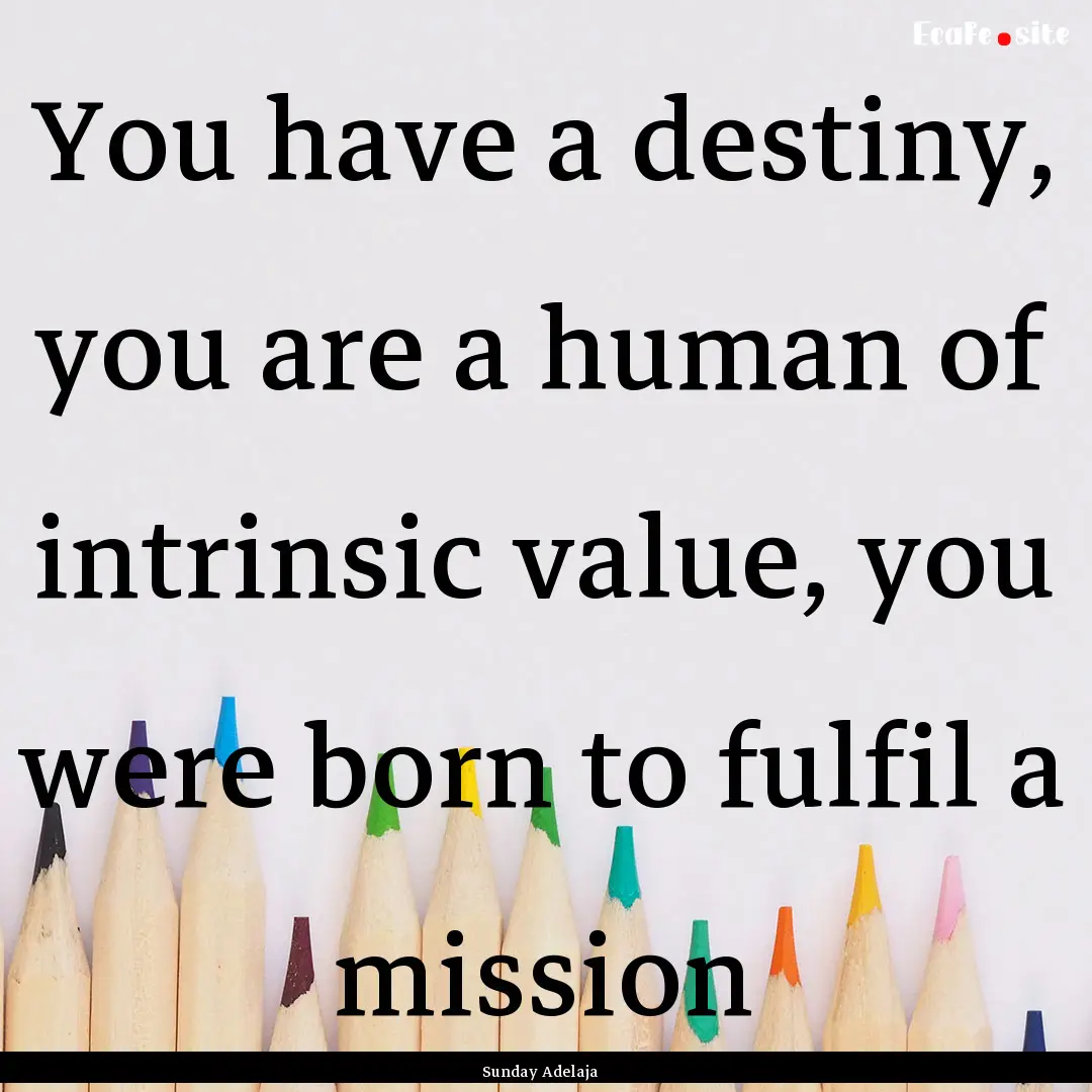 You have a destiny, you are a human of intrinsic.... : Quote by Sunday Adelaja