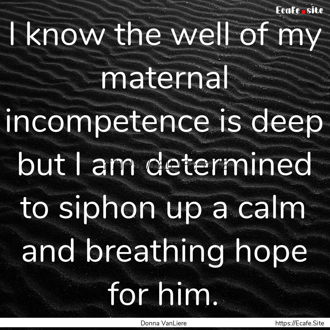 I know the well of my maternal incompetence.... : Quote by Donna VanLiere