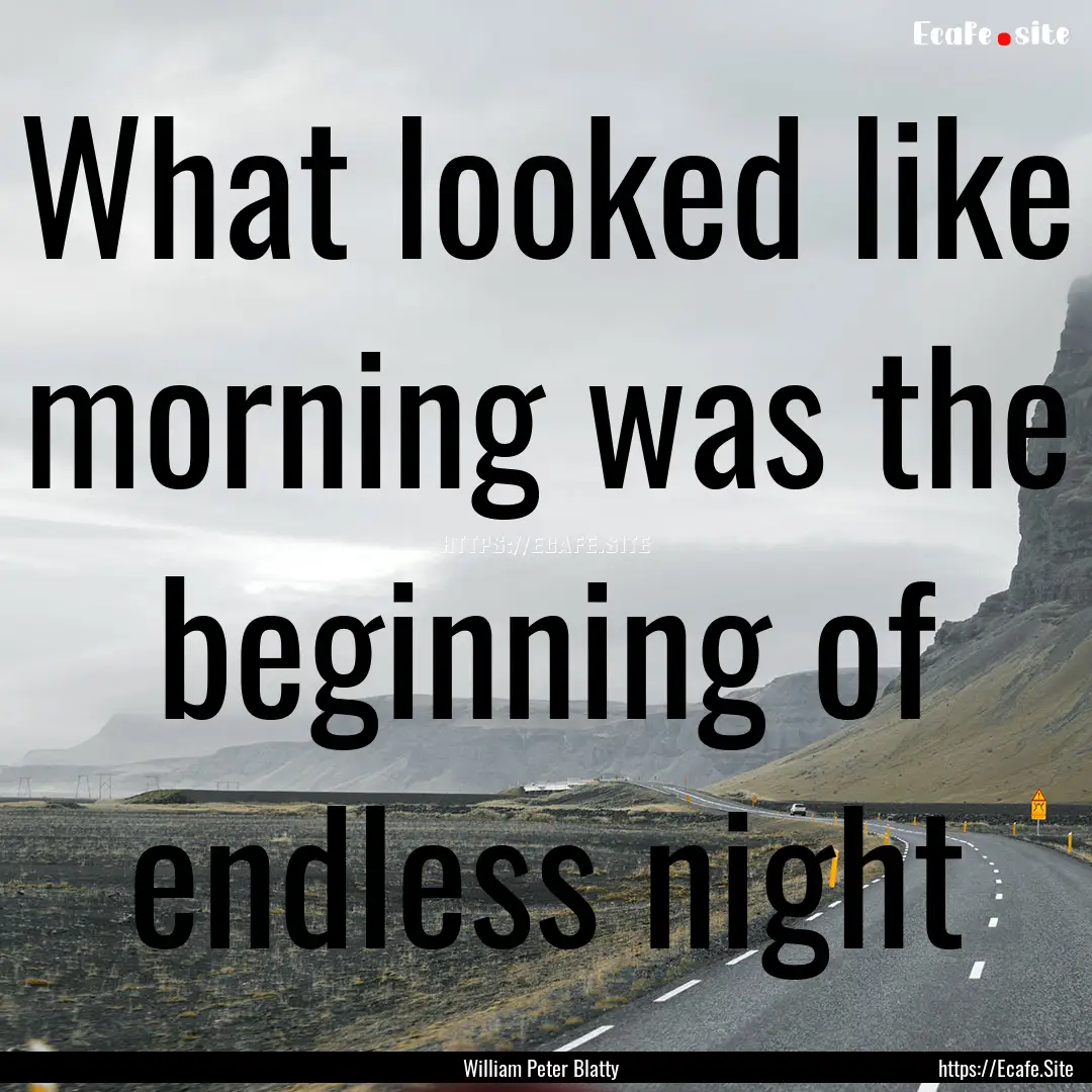 What looked like morning was the beginning.... : Quote by William Peter Blatty