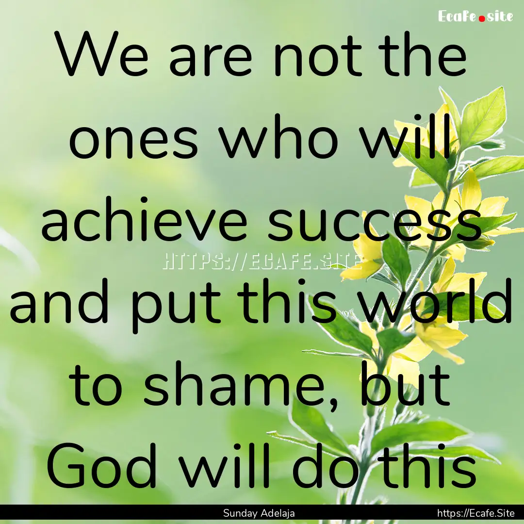 We are not the ones who will achieve success.... : Quote by Sunday Adelaja