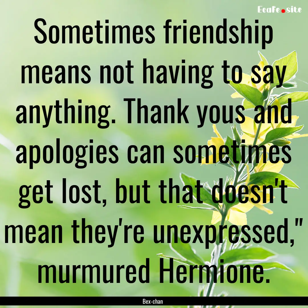 Sometimes friendship means not having to.... : Quote by Bex-chan