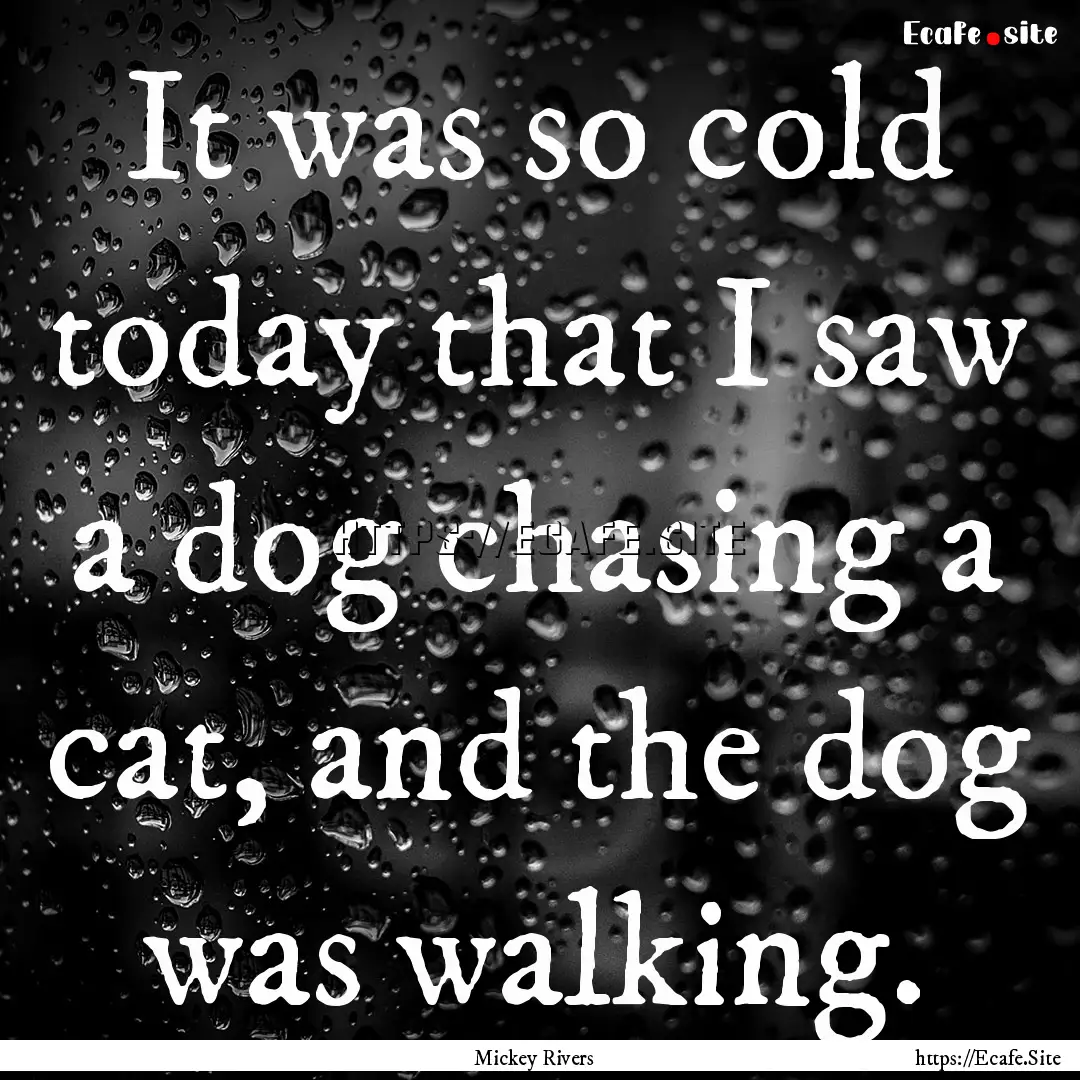 It was so cold today that I saw a dog chasing.... : Quote by Mickey Rivers