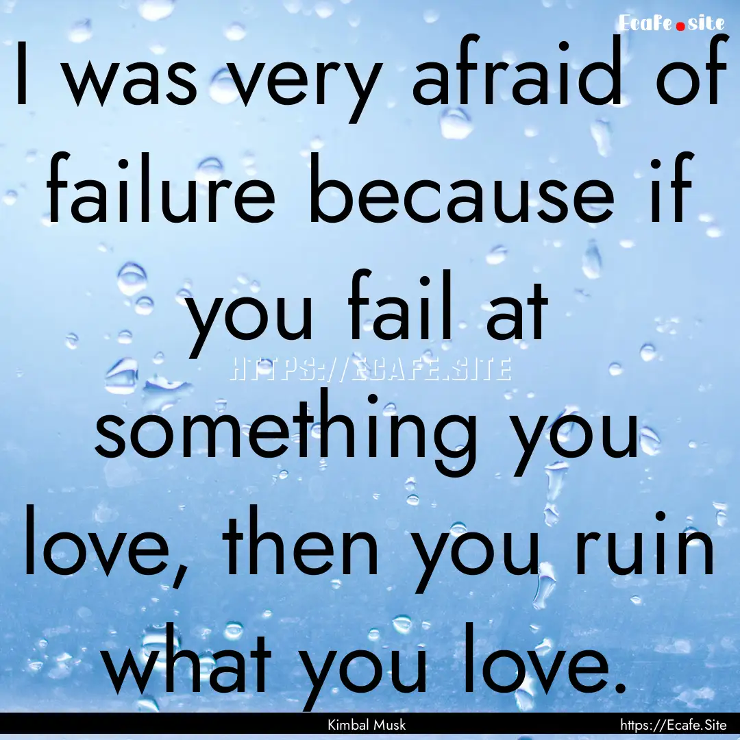 I was very afraid of failure because if you.... : Quote by Kimbal Musk