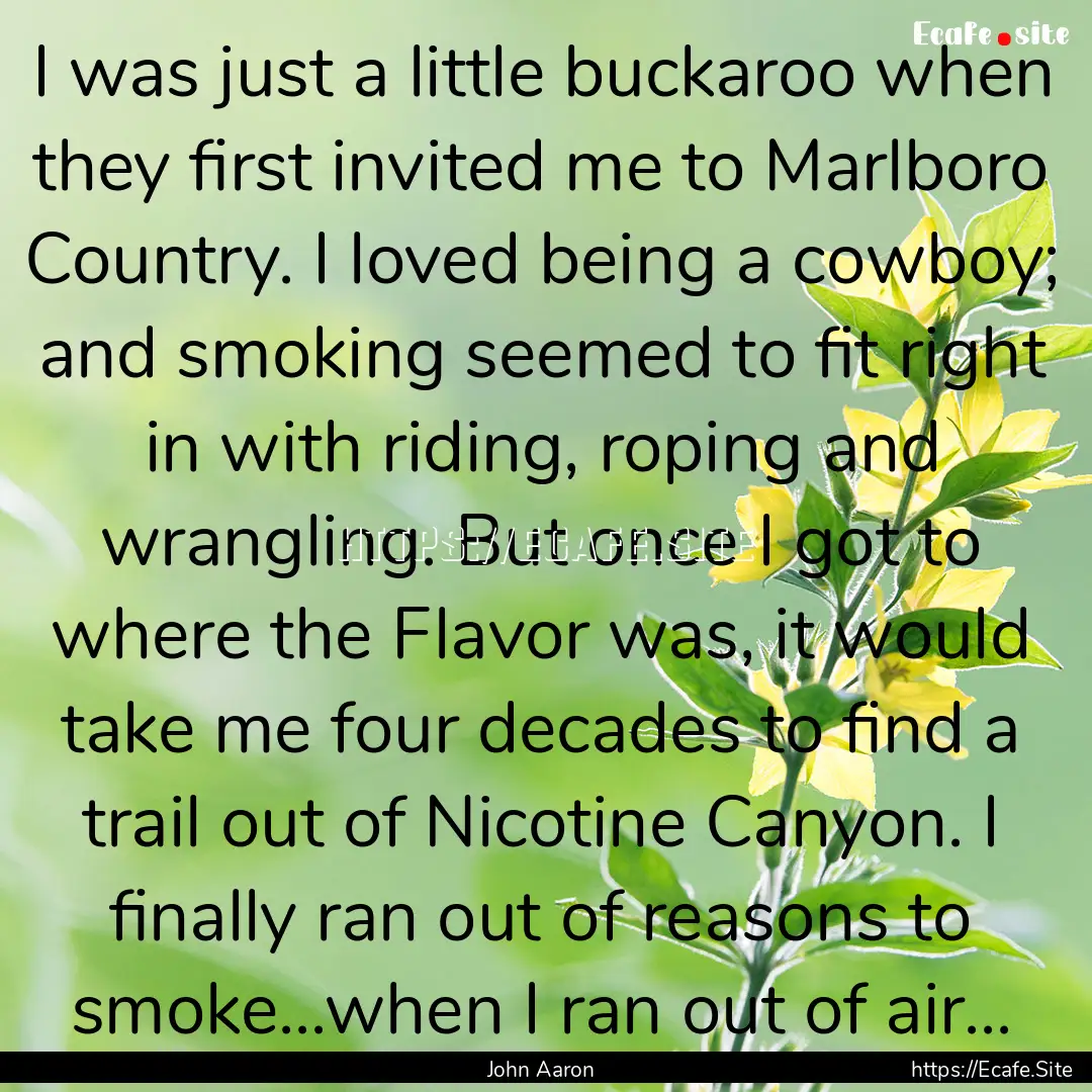 I was just a little buckaroo when they first.... : Quote by John Aaron