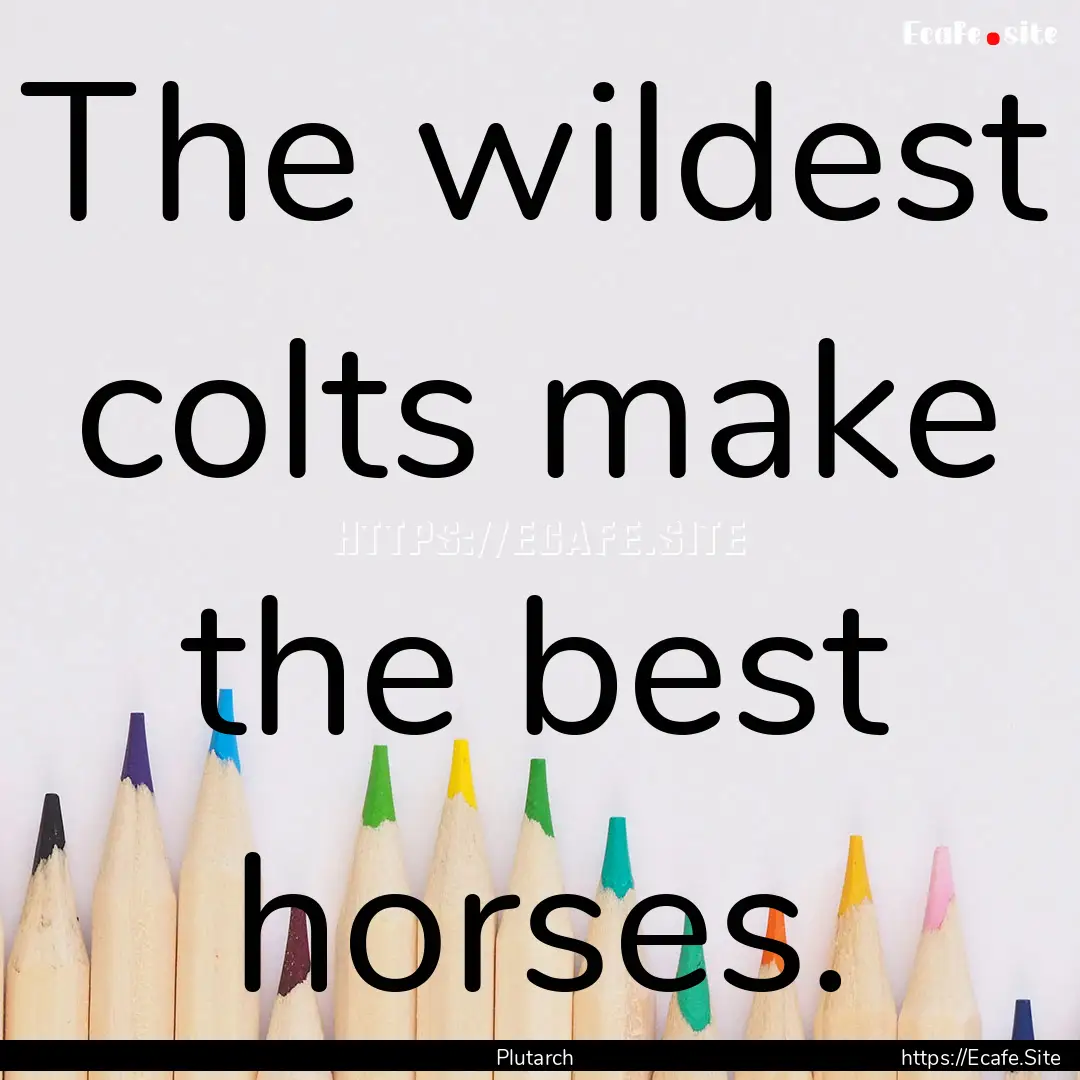 The wildest colts make the best horses. : Quote by Plutarch