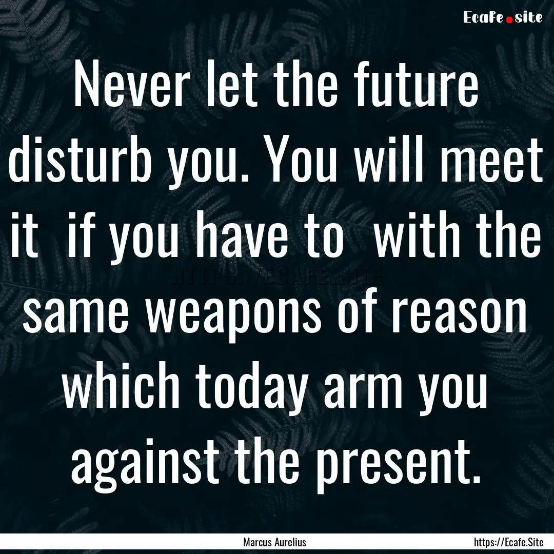 Never let the future disturb you. You will.... : Quote by Marcus Aurelius