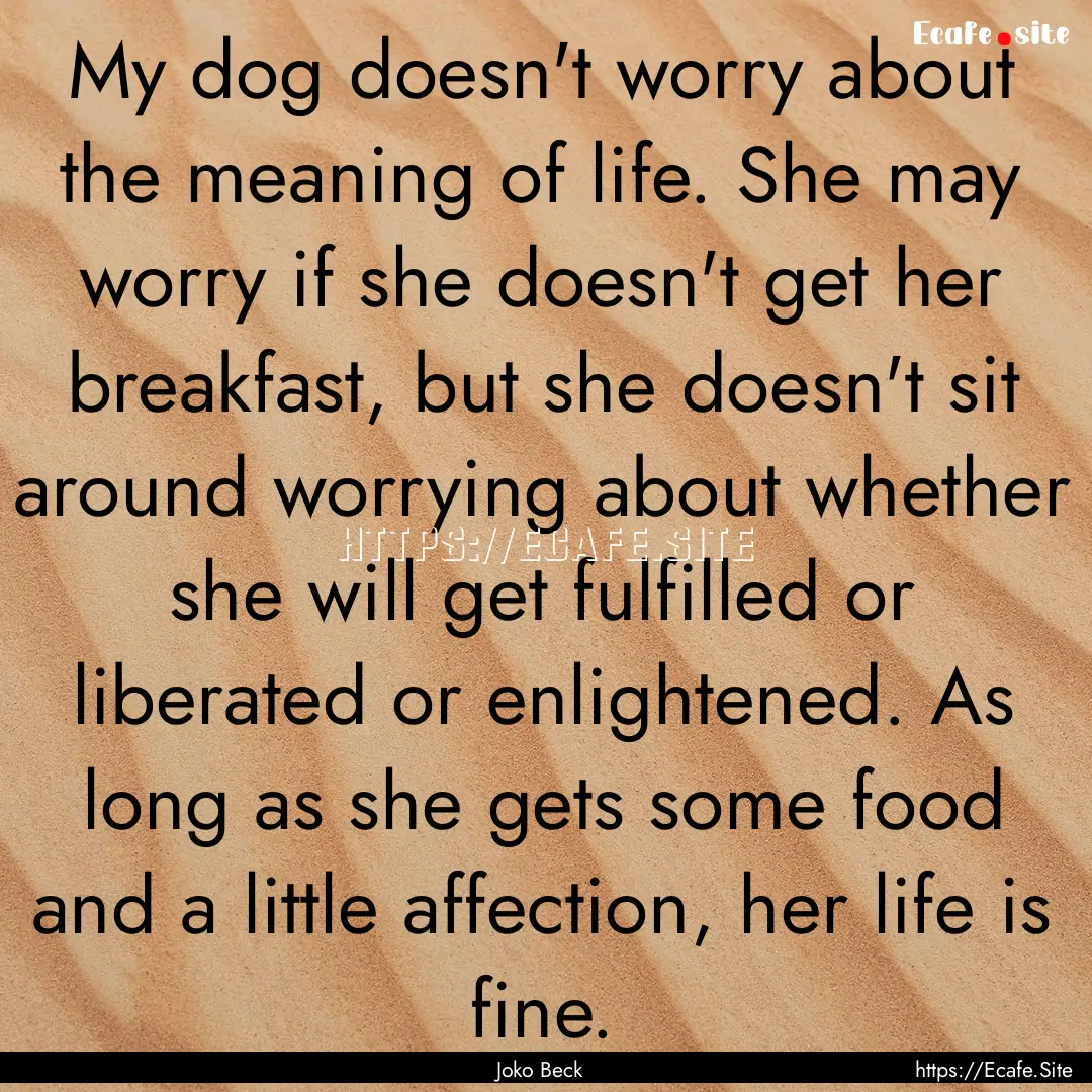 My dog doesn't worry about the meaning of.... : Quote by Joko Beck