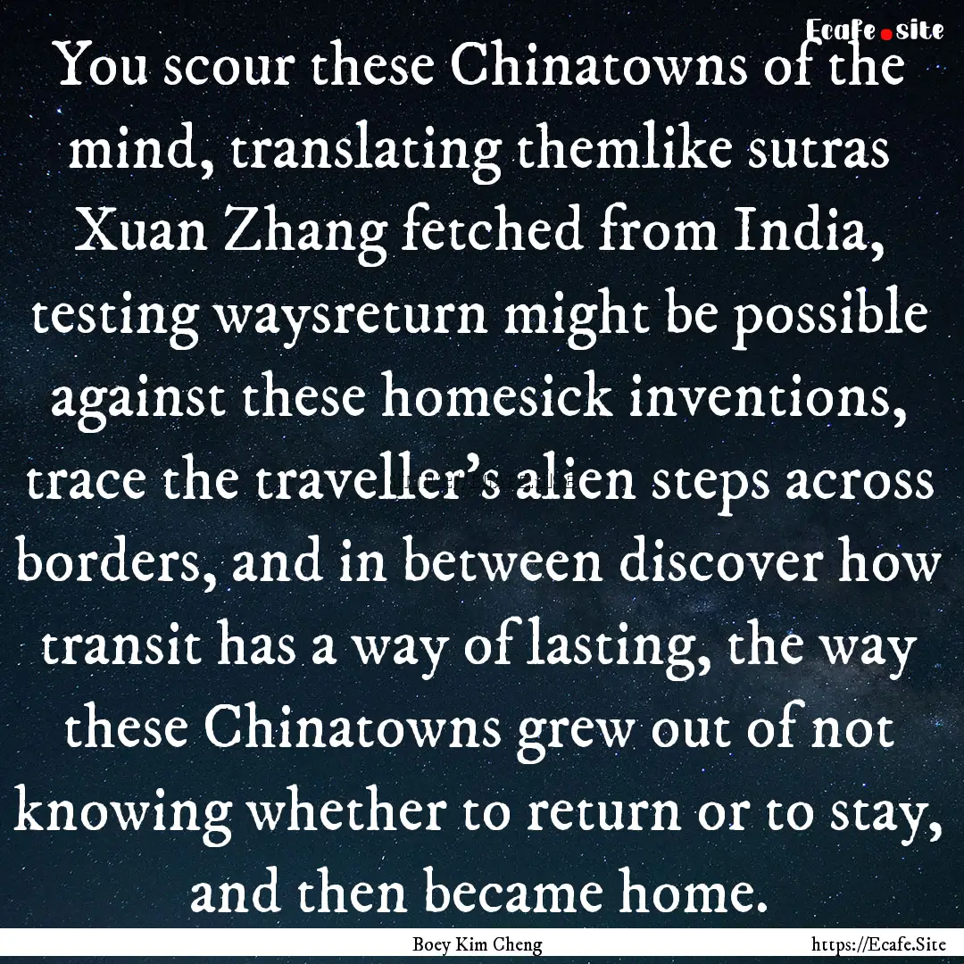 You scour these Chinatowns of the mind, translating.... : Quote by Boey Kim Cheng