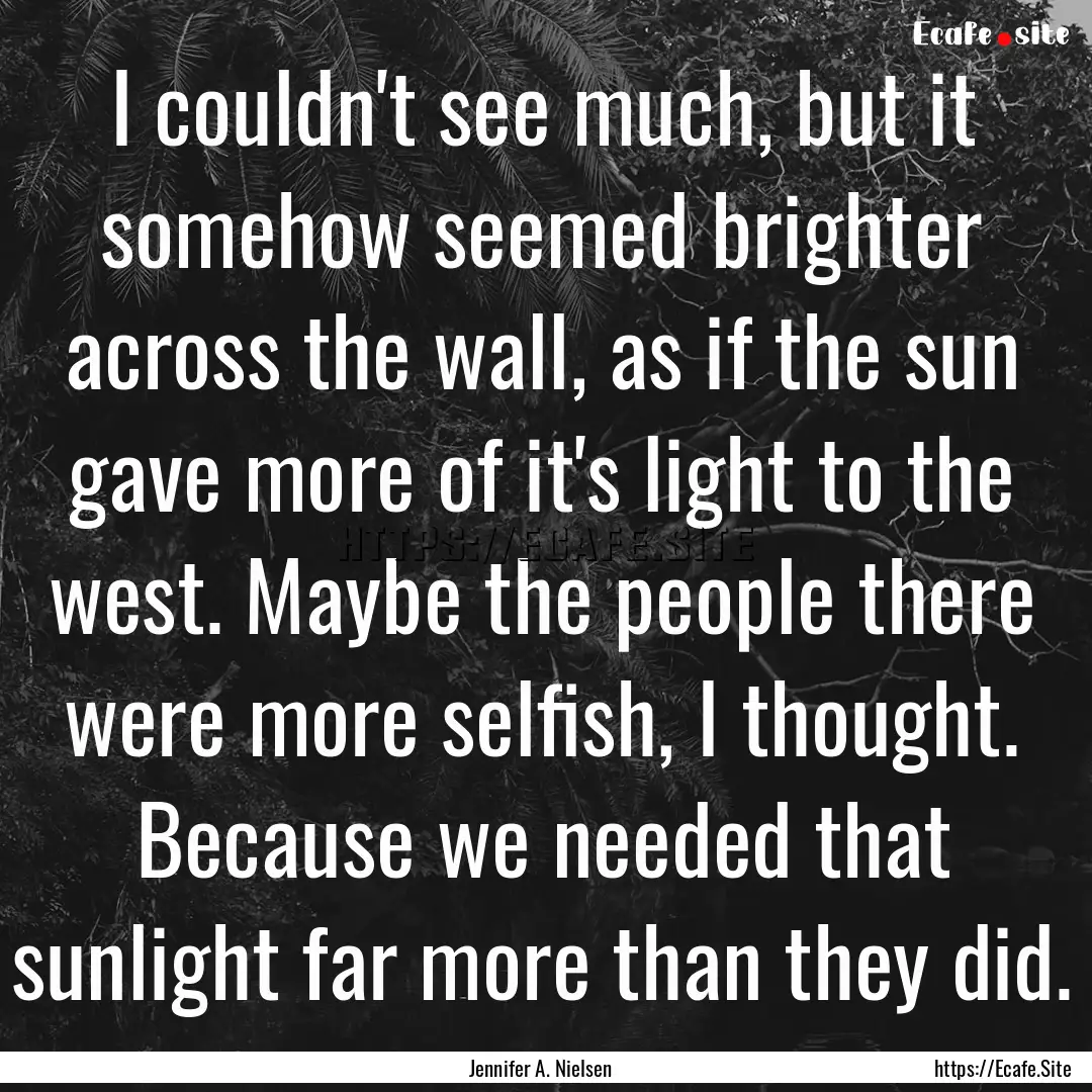 I couldn't see much, but it somehow seemed.... : Quote by Jennifer A. Nielsen