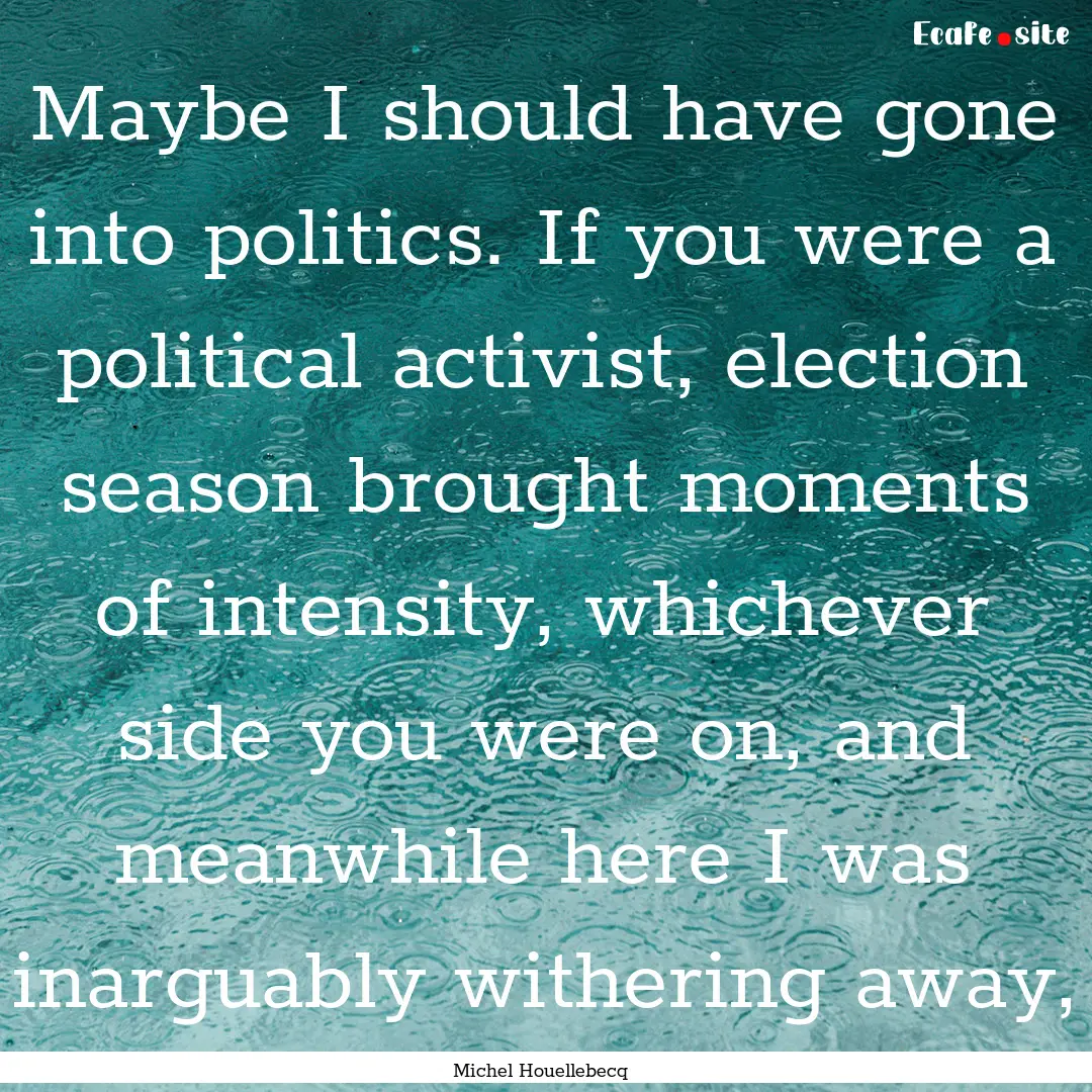 Maybe I should have gone into politics. If.... : Quote by Michel Houellebecq