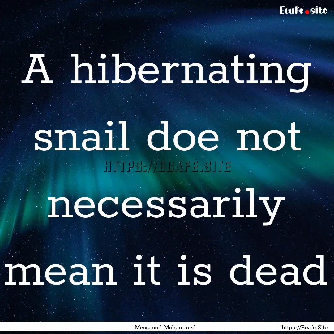 A hibernating snail doe not necessarily mean.... : Quote by Messaoud Mohammed