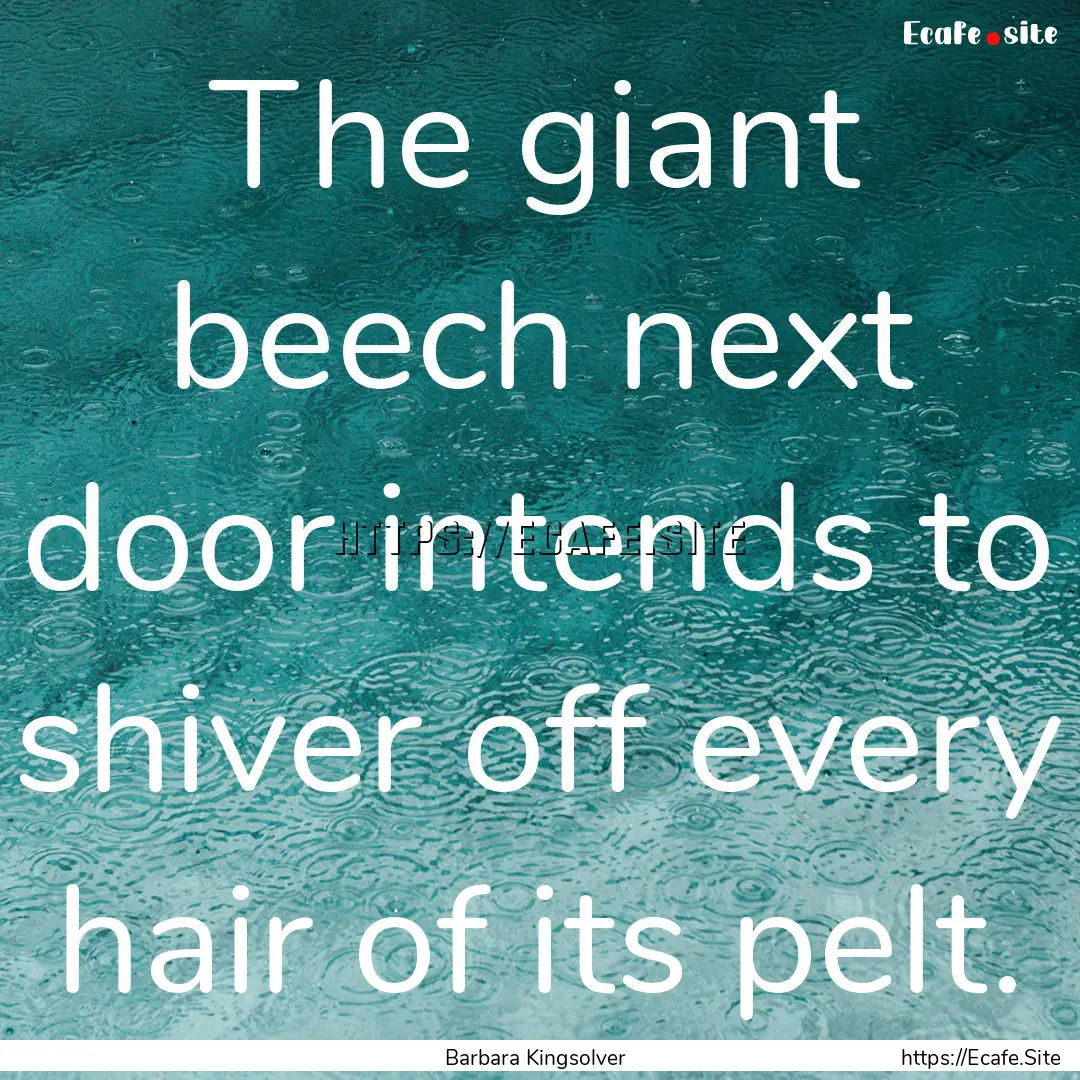 The giant beech next door intends to shiver.... : Quote by Barbara Kingsolver