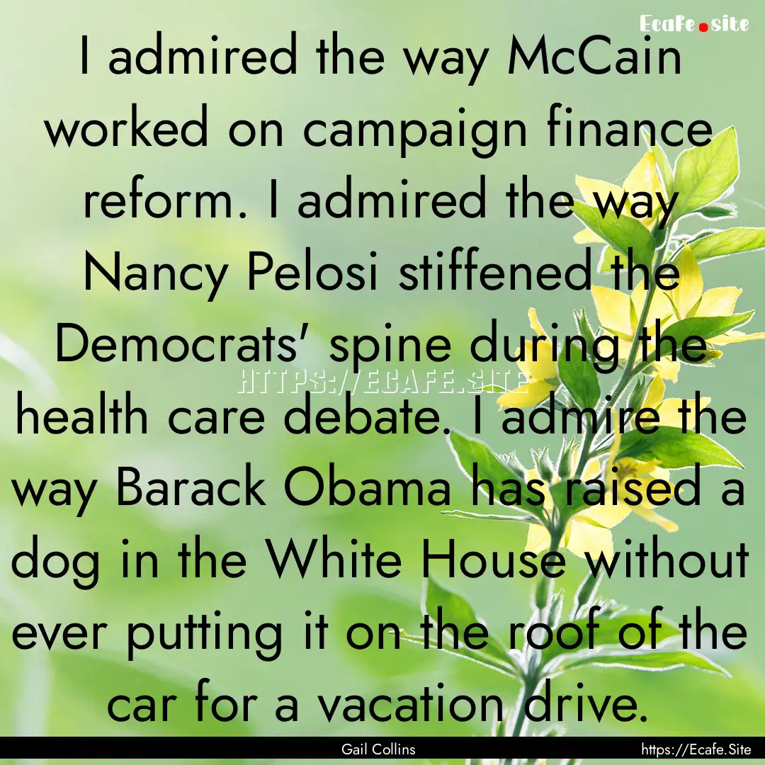 I admired the way McCain worked on campaign.... : Quote by Gail Collins