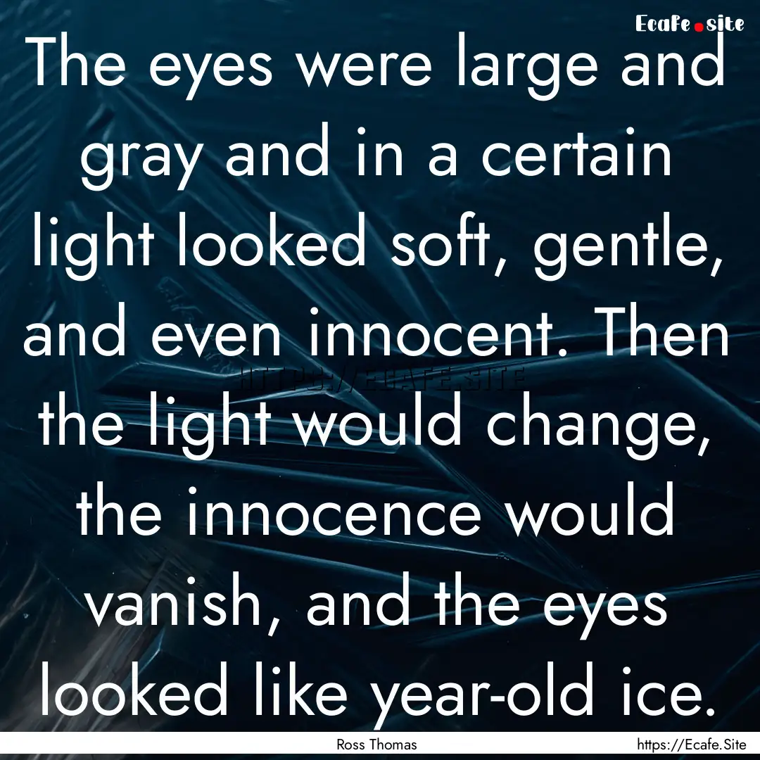 The eyes were large and gray and in a certain.... : Quote by Ross Thomas