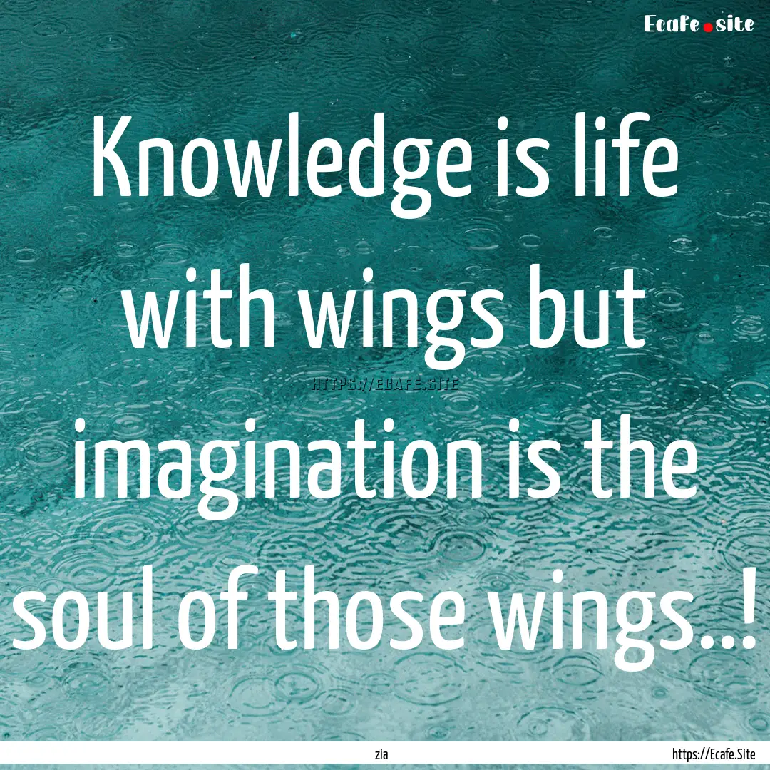 Knowledge is life with wings but imagination.... : Quote by zia