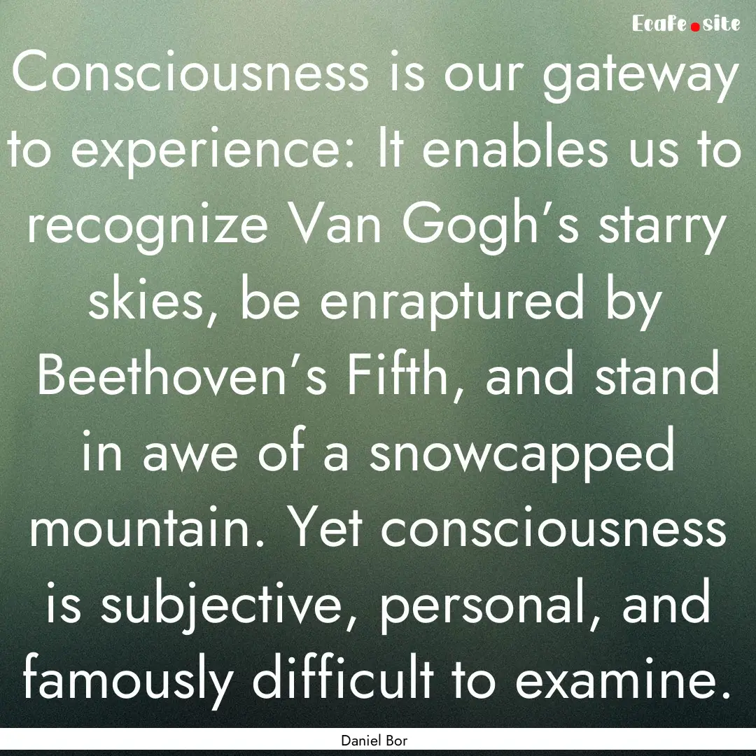 Consciousness is our gateway to experience:.... : Quote by Daniel Bor