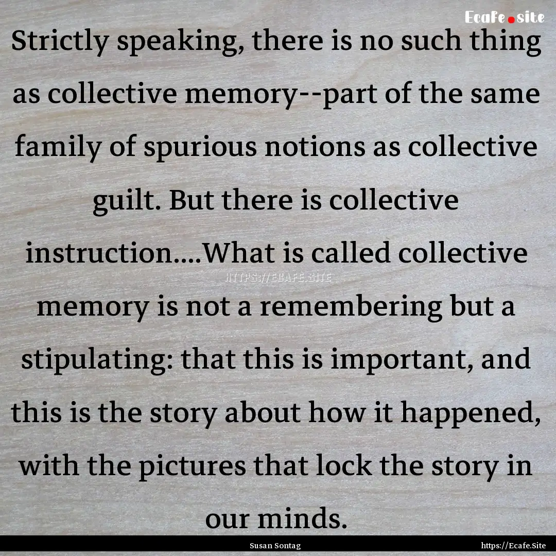 Strictly speaking, there is no such thing.... : Quote by Susan Sontag