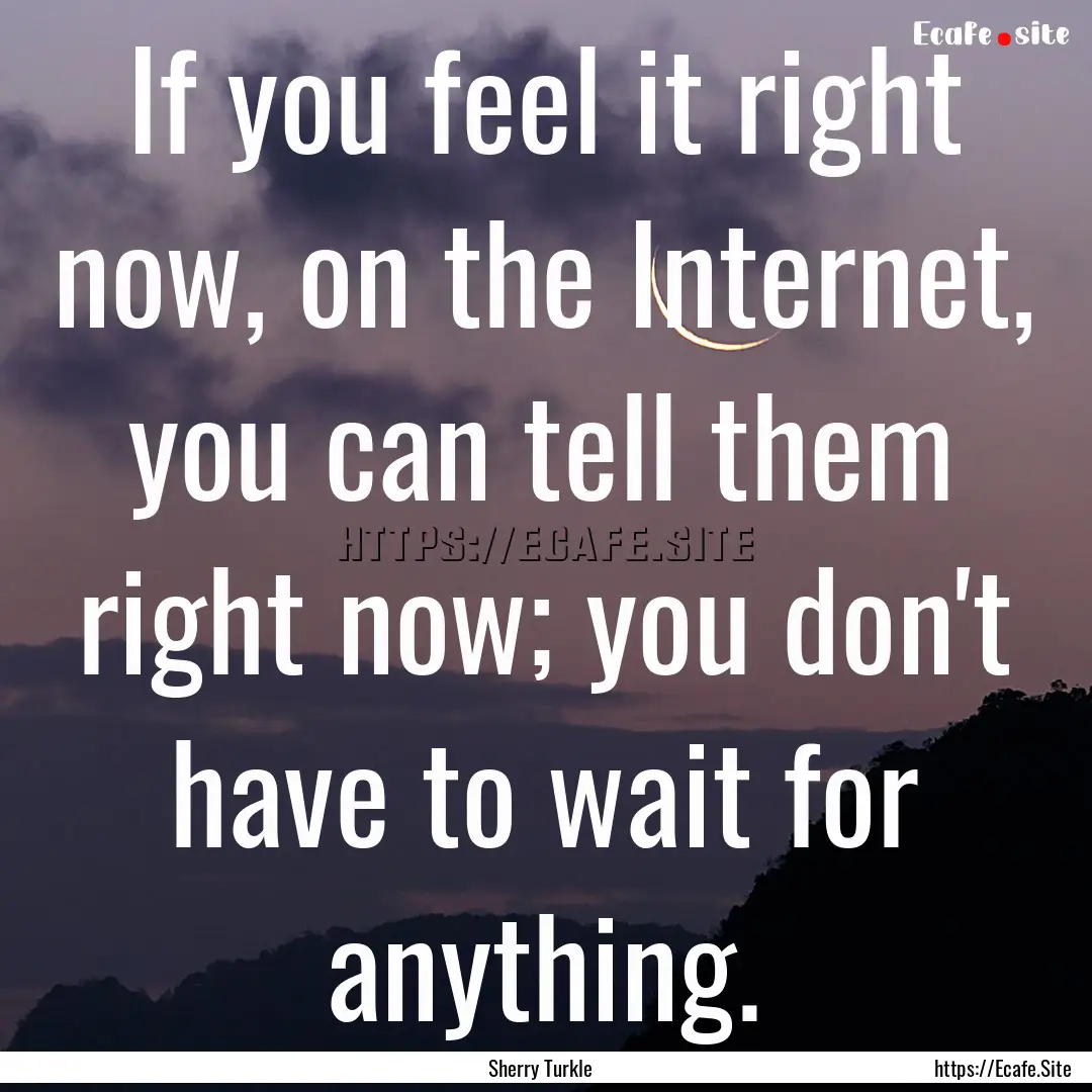 If you feel it right now, on the Internet,.... : Quote by Sherry Turkle