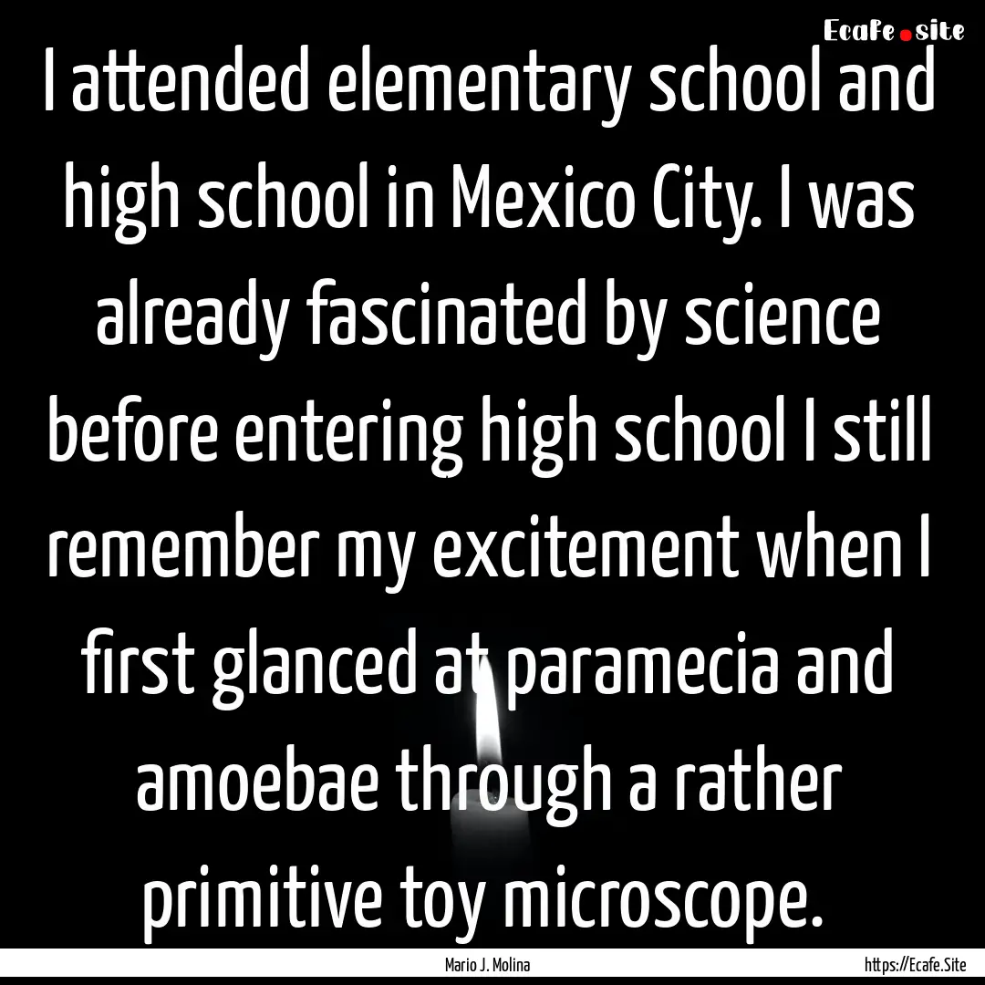 I attended elementary school and high school.... : Quote by Mario J. Molina