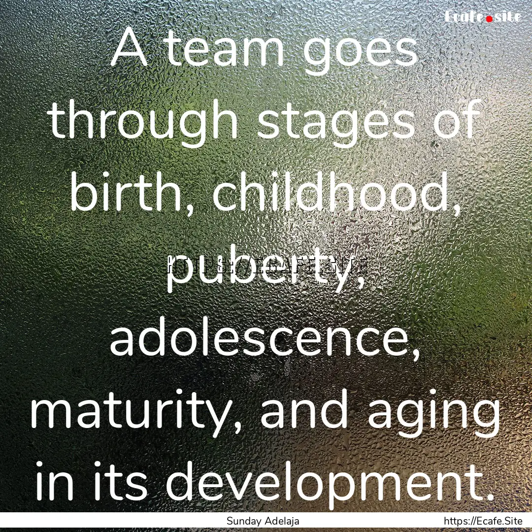 A team goes through stages of birth, childhood,.... : Quote by Sunday Adelaja