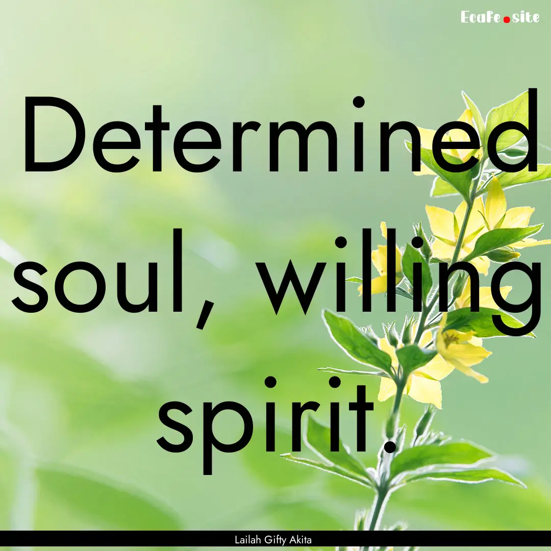 Determined soul, willing spirit. : Quote by Lailah Gifty Akita