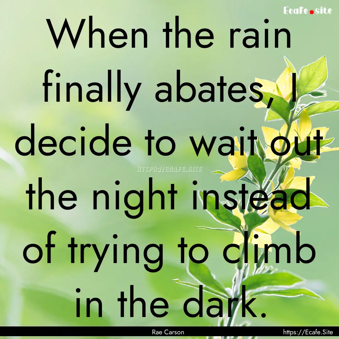 When the rain finally abates, I decide to.... : Quote by Rae Carson