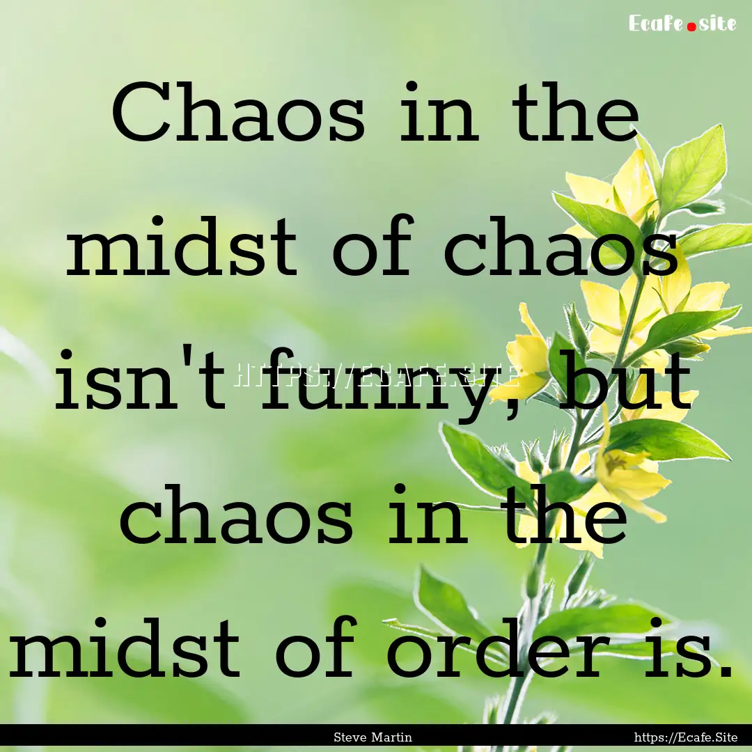 Chaos in the midst of chaos isn't funny,.... : Quote by Steve Martin