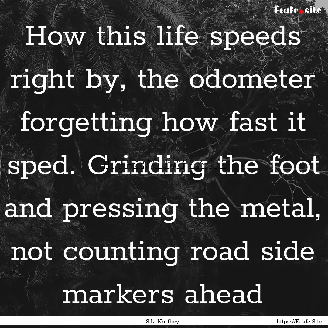 How this life speeds right by, the odometer.... : Quote by S.L. Northey