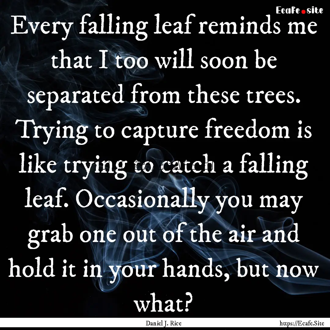 Every falling leaf reminds me that I too.... : Quote by Daniel J. Rice