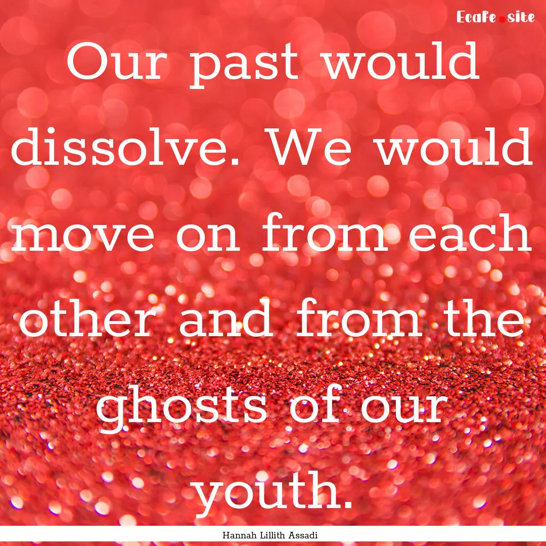 Our past would dissolve. We would move on.... : Quote by Hannah Lillith Assadi