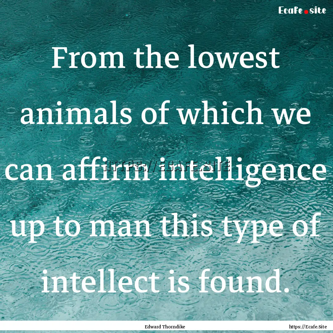 From the lowest animals of which we can affirm.... : Quote by Edward Thorndike