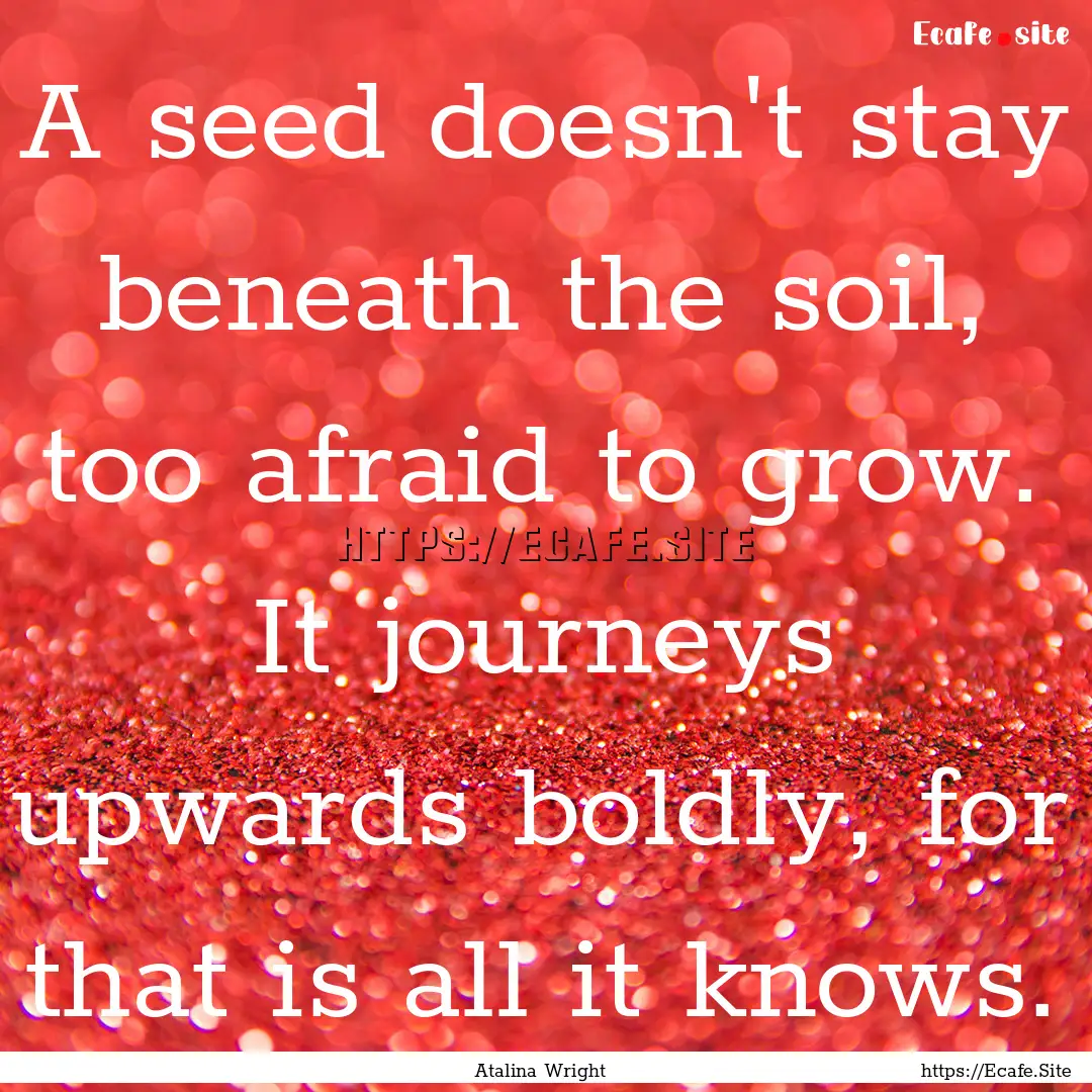 A seed doesn't stay beneath the soil, too.... : Quote by Atalina Wright