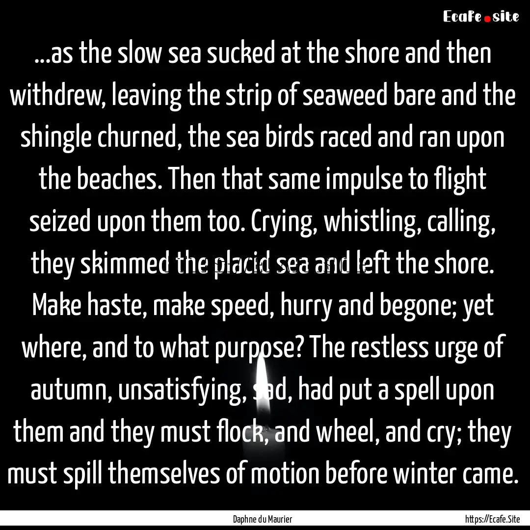 ...as the slow sea sucked at the shore and.... : Quote by Daphne du Maurier