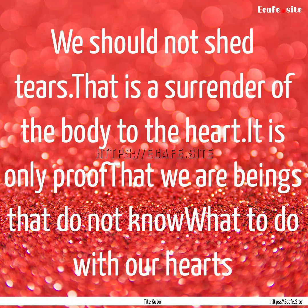 We should not shed tears.That is a surrender.... : Quote by Tite Kubo