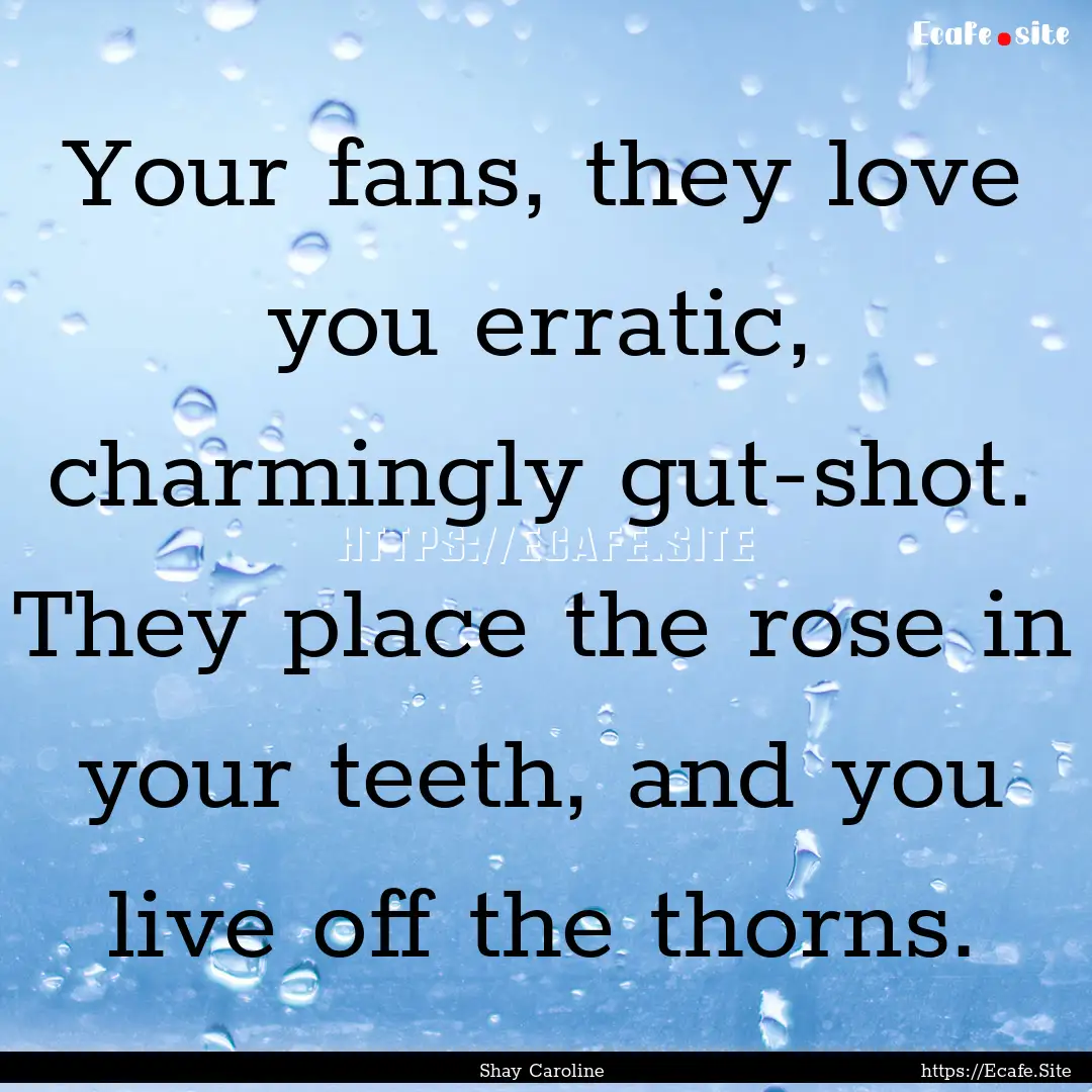 Your fans, they love you erratic, charmingly.... : Quote by Shay Caroline