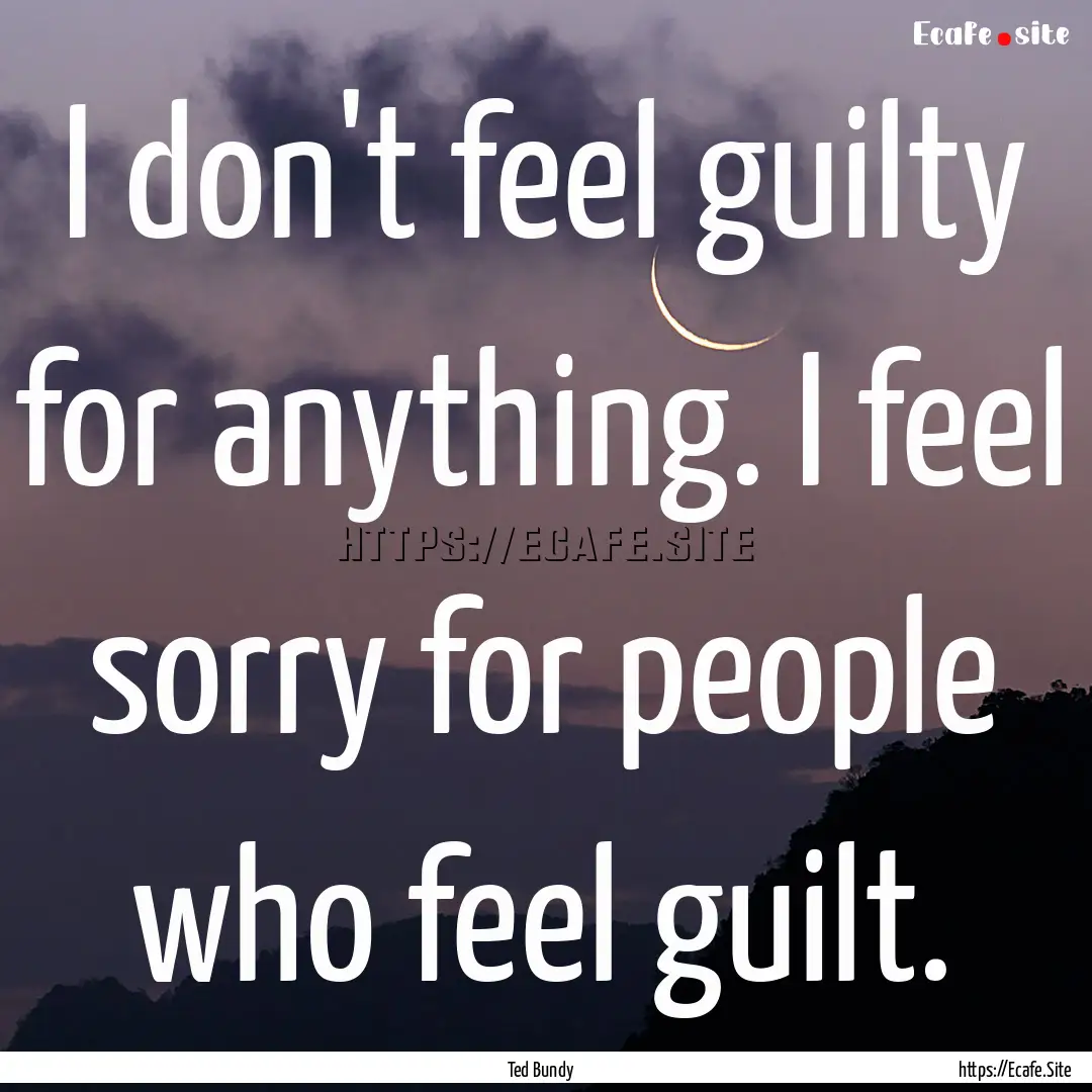 I don't feel guilty for anything. I feel.... : Quote by Ted Bundy