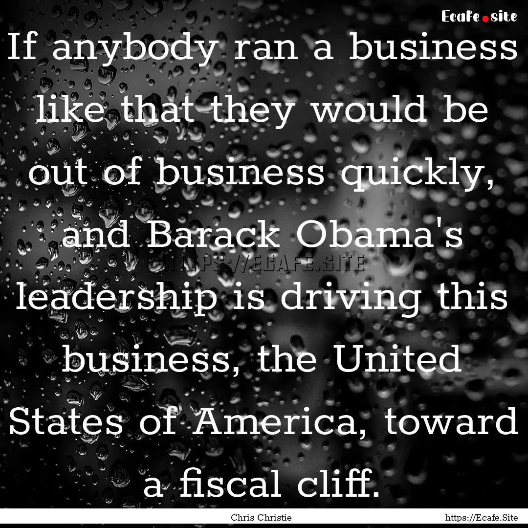 If anybody ran a business like that they.... : Quote by Chris Christie