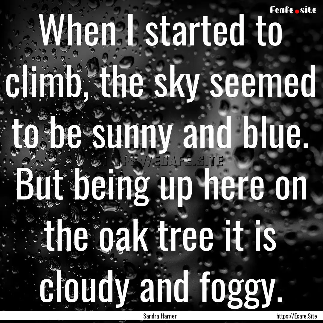 When I started to climb, the sky seemed to.... : Quote by Sandra Harner