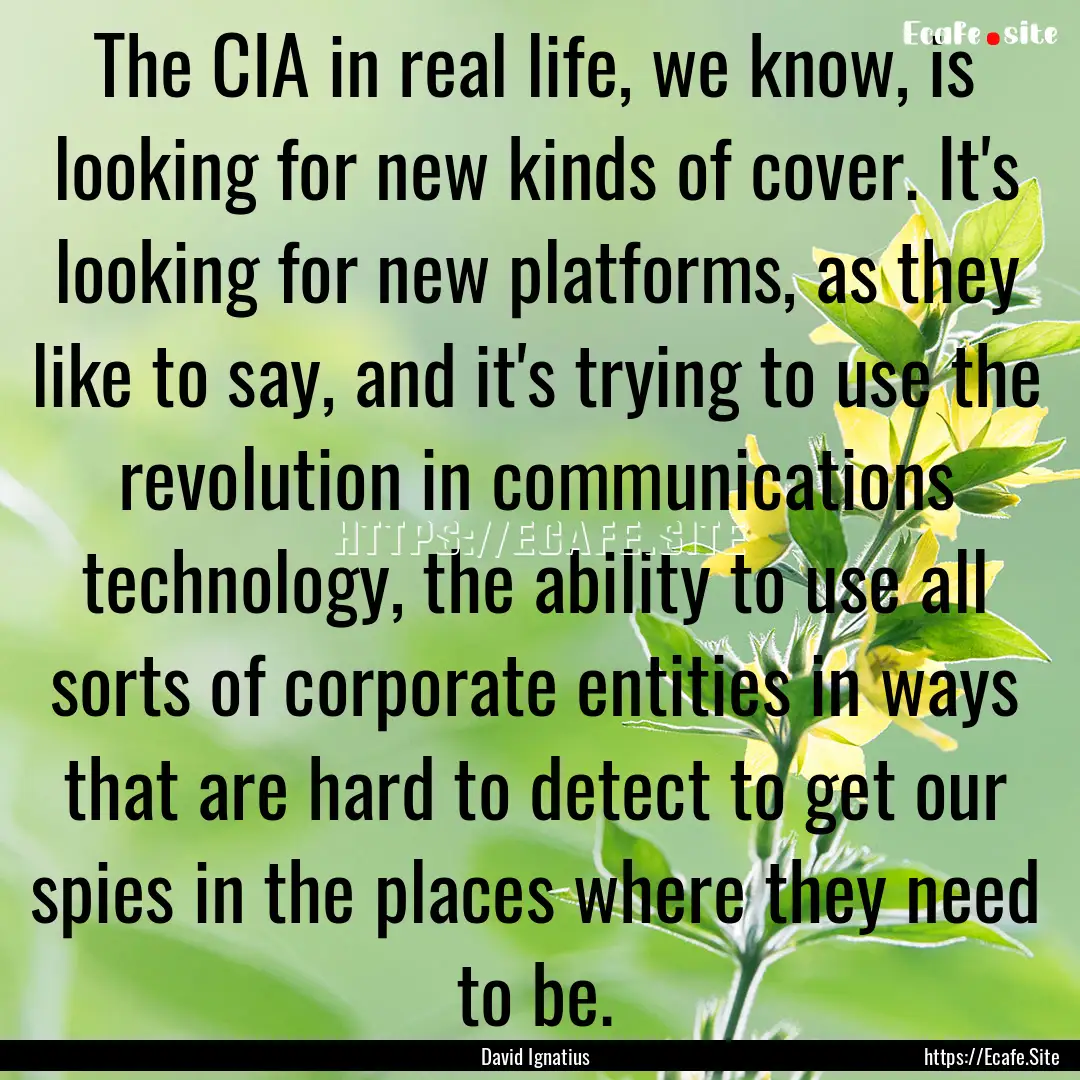 The CIA in real life, we know, is looking.... : Quote by David Ignatius