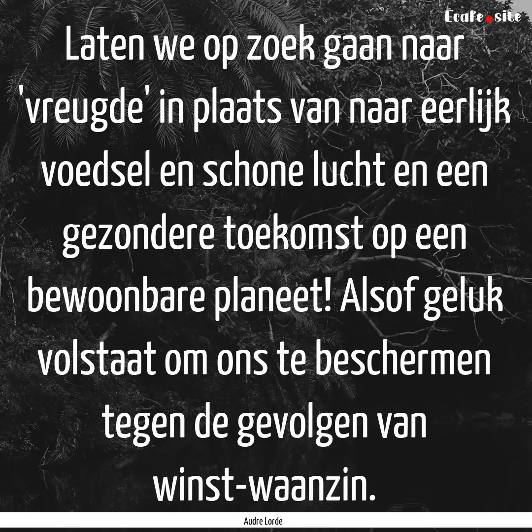 Laten we op zoek gaan naar 'vreugde' in plaats.... : Quote by Audre Lorde