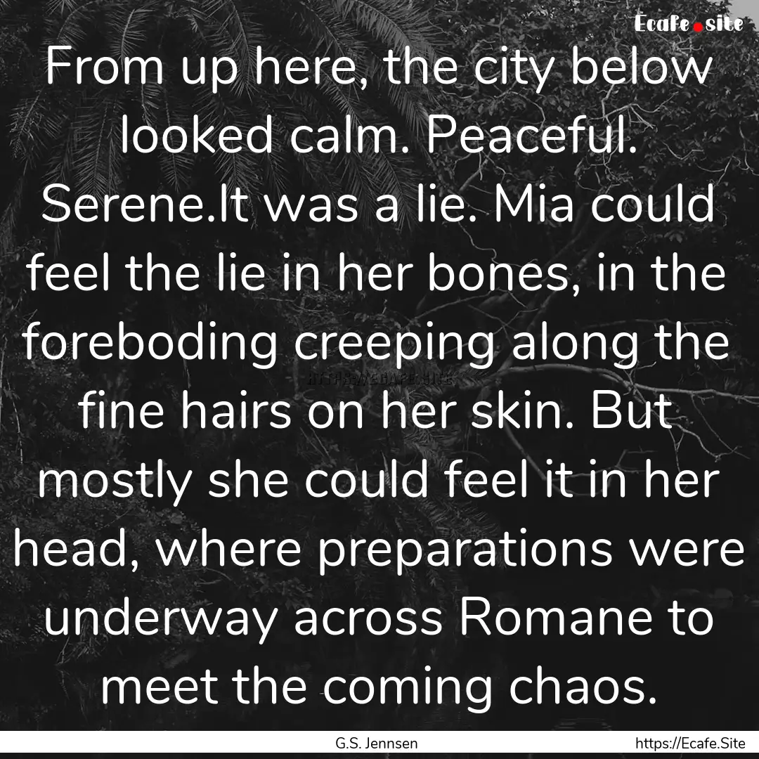 From up here, the city below looked calm..... : Quote by G.S. Jennsen