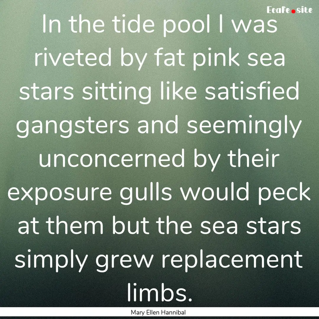 In the tide pool I was riveted by fat pink.... : Quote by Mary Ellen Hannibal