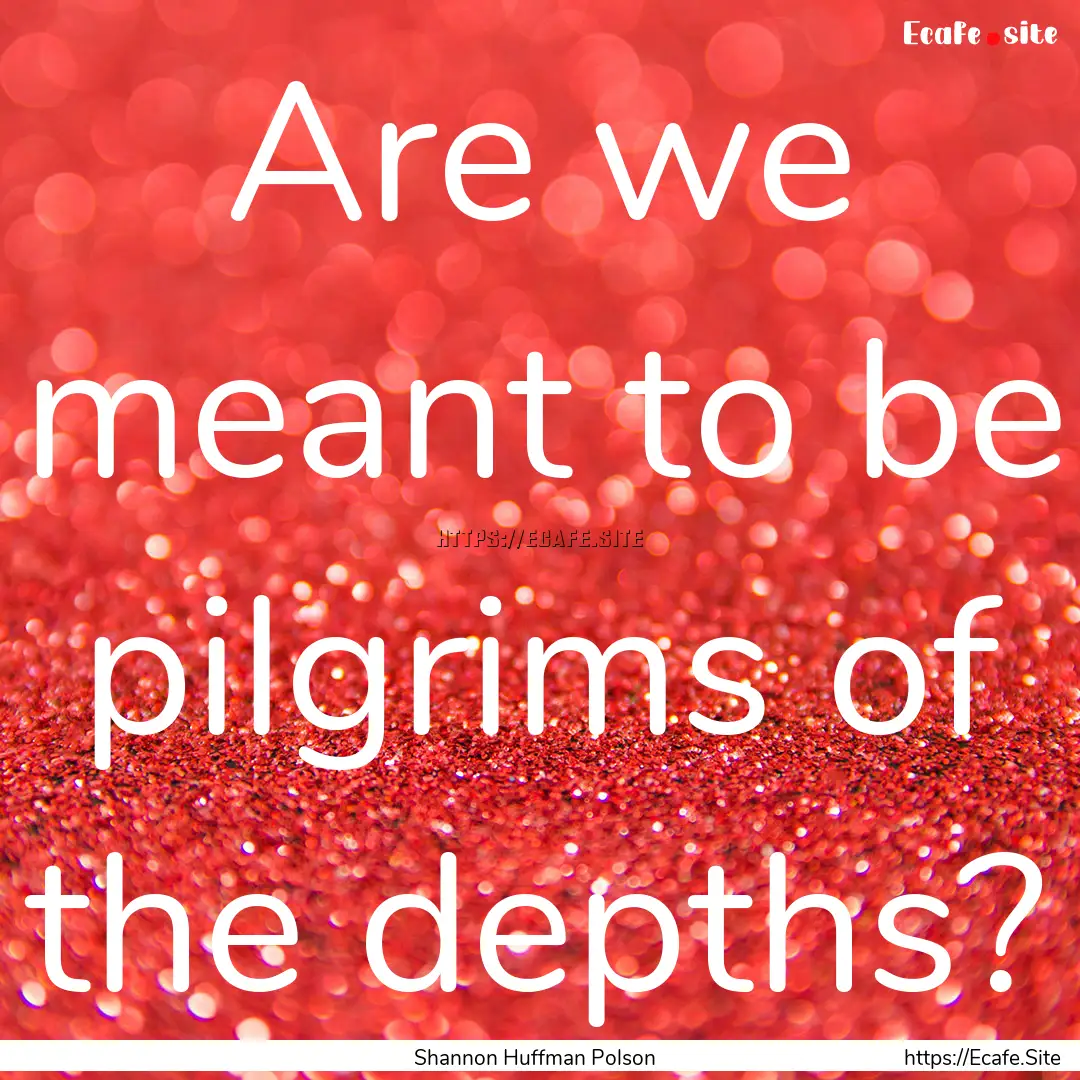 Are we meant to be pilgrims of the depths?.... : Quote by Shannon Huffman Polson