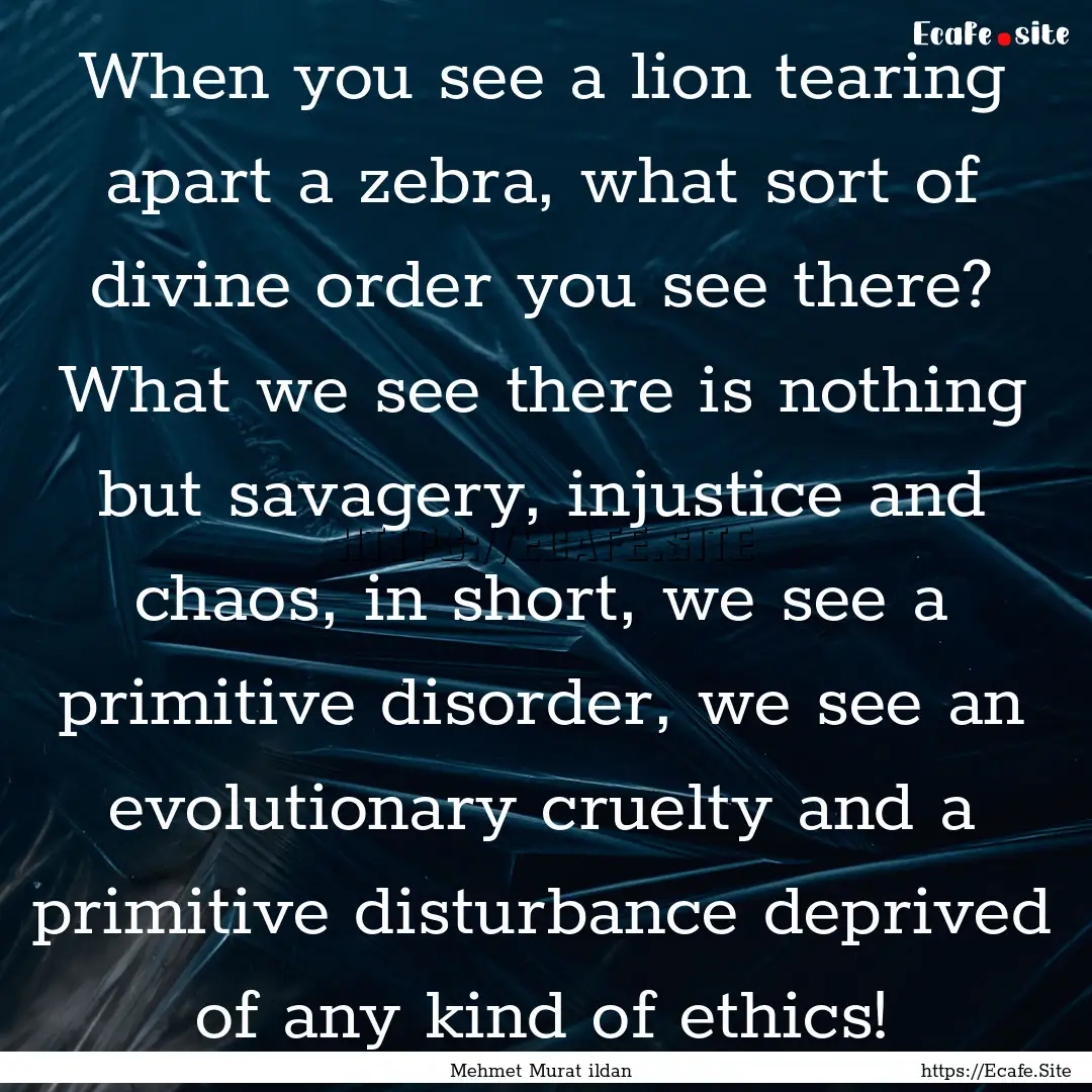 When you see a lion tearing apart a zebra,.... : Quote by Mehmet Murat ildan