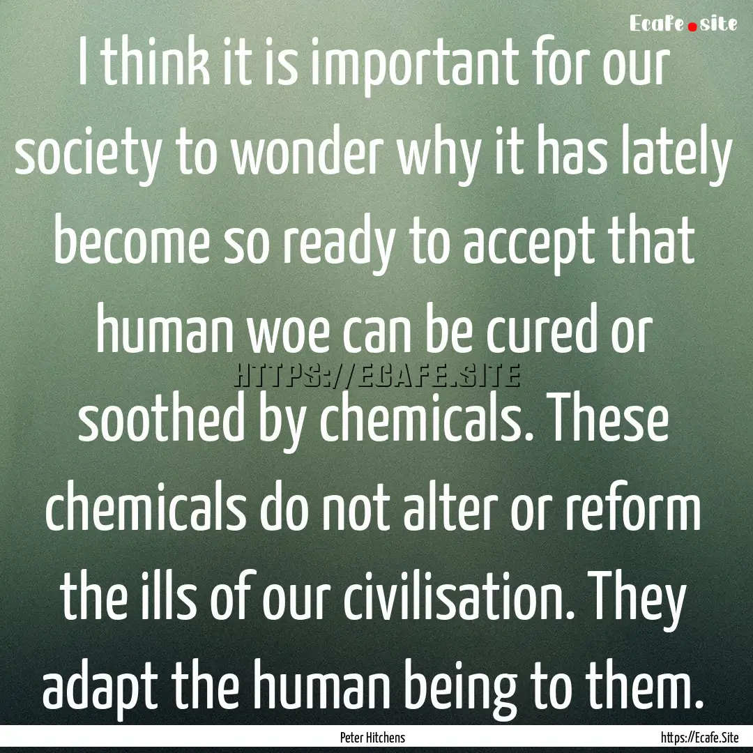 I think it is important for our society to.... : Quote by Peter Hitchens