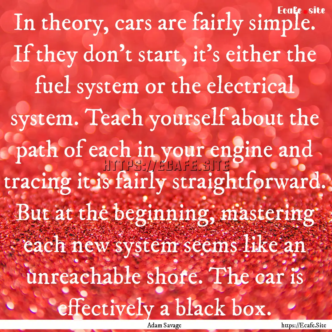 In theory, cars are fairly simple. If they.... : Quote by Adam Savage