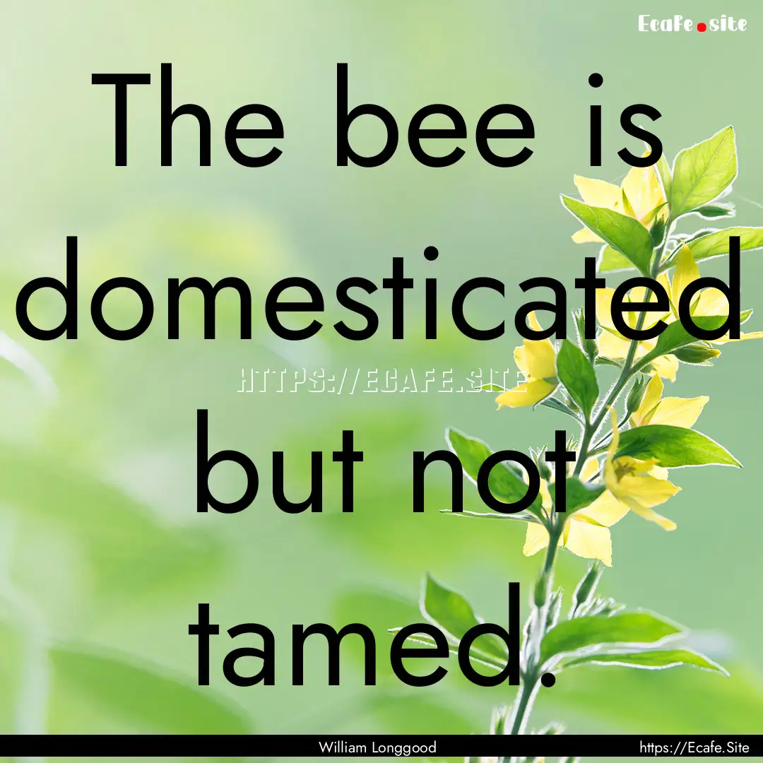 The bee is domesticated but not tamed. : Quote by William Longgood