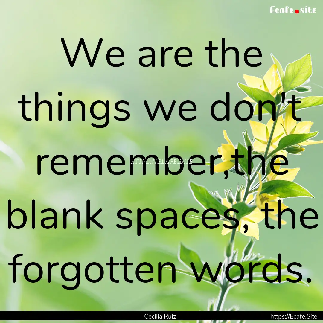 We are the things we don't remember,the blank.... : Quote by Cecilia Ruiz